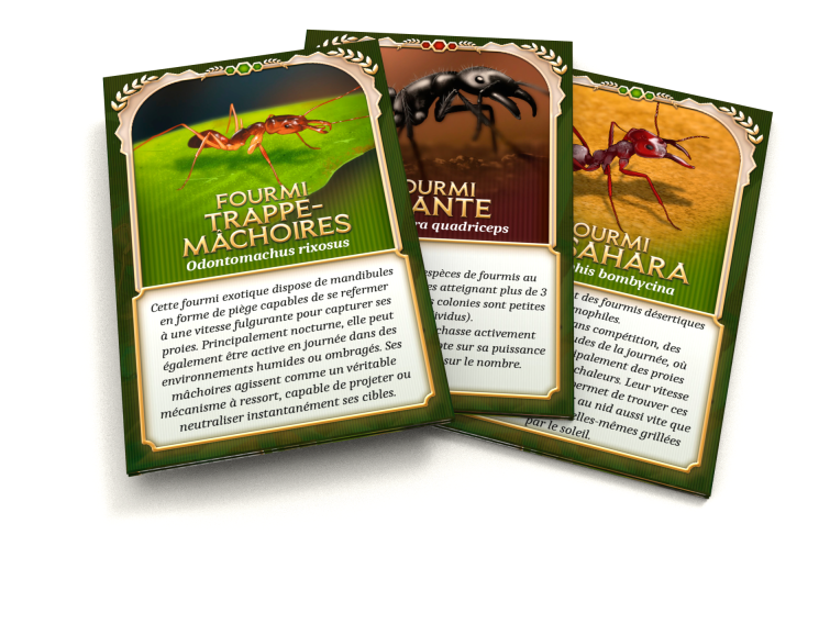 Illustration Microlonies