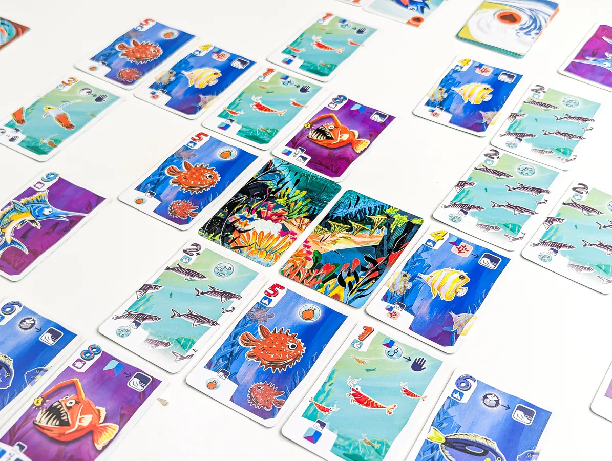 Illustration Fintastic Sea