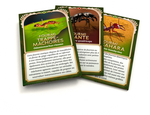 Illustration Microlonies